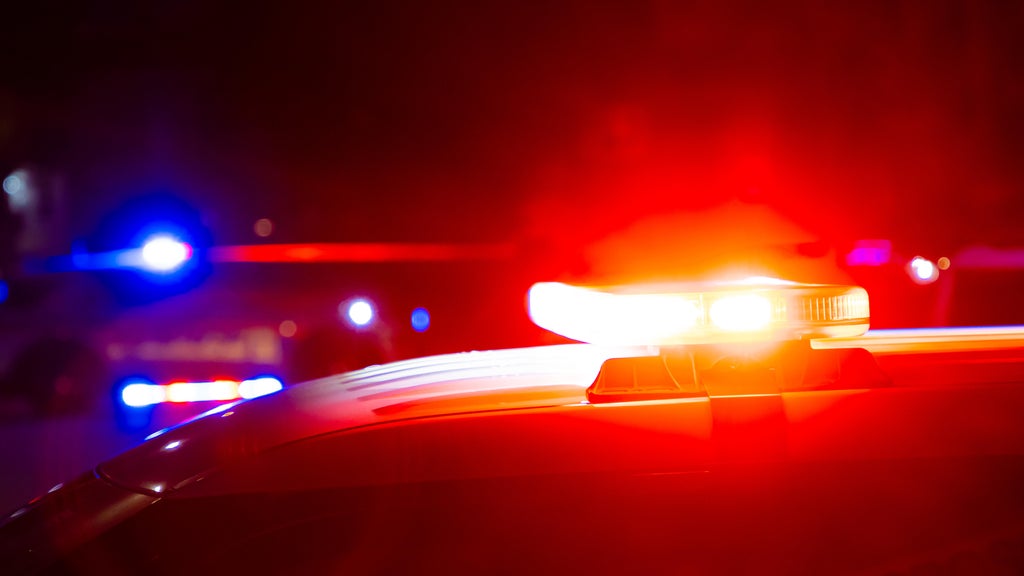 Driver killed in head-on collision with semi in central Minnesota — Apple Valley Sports news
