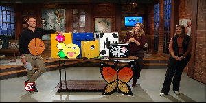 Halloween “Boxtumes” — Apple Valley Business news